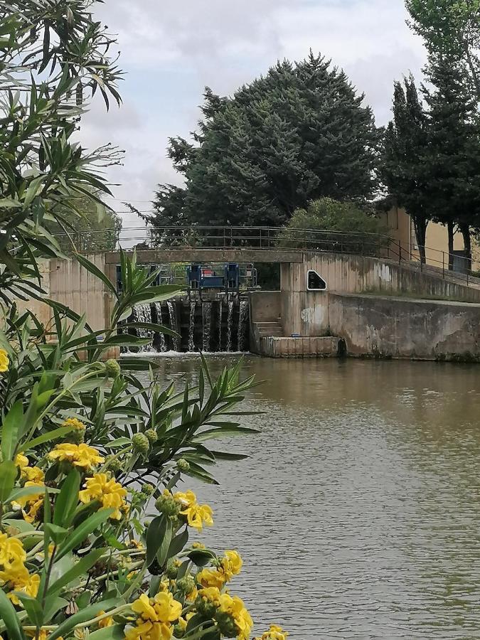 Villa Sainte Marie Narbonne Exteriér fotografie